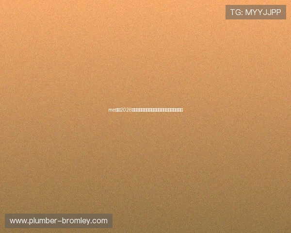 me体育2026世界杯赛后点评：专家分析比赛亮点与未来展望